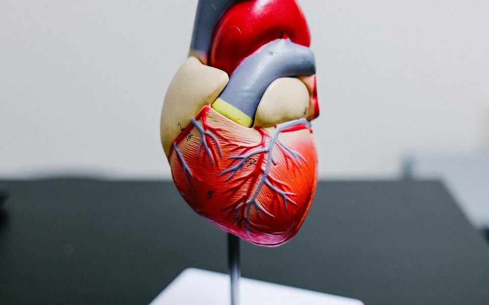 ISSSTE instala un ecocardiógrafo 3D de 10.7 mdp en el HG José María Morelos y Pavón